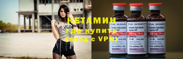 прущие грибы Арсеньев
