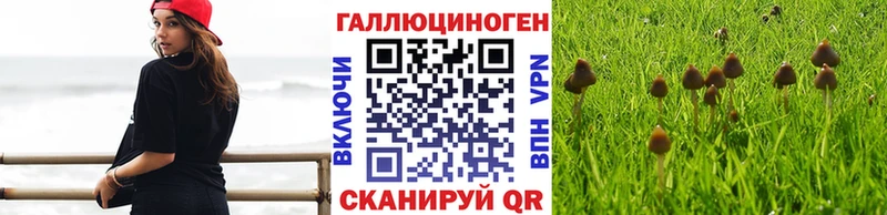 Галлюциногенные грибы Psilocybine cubensis  Нязепетровск 